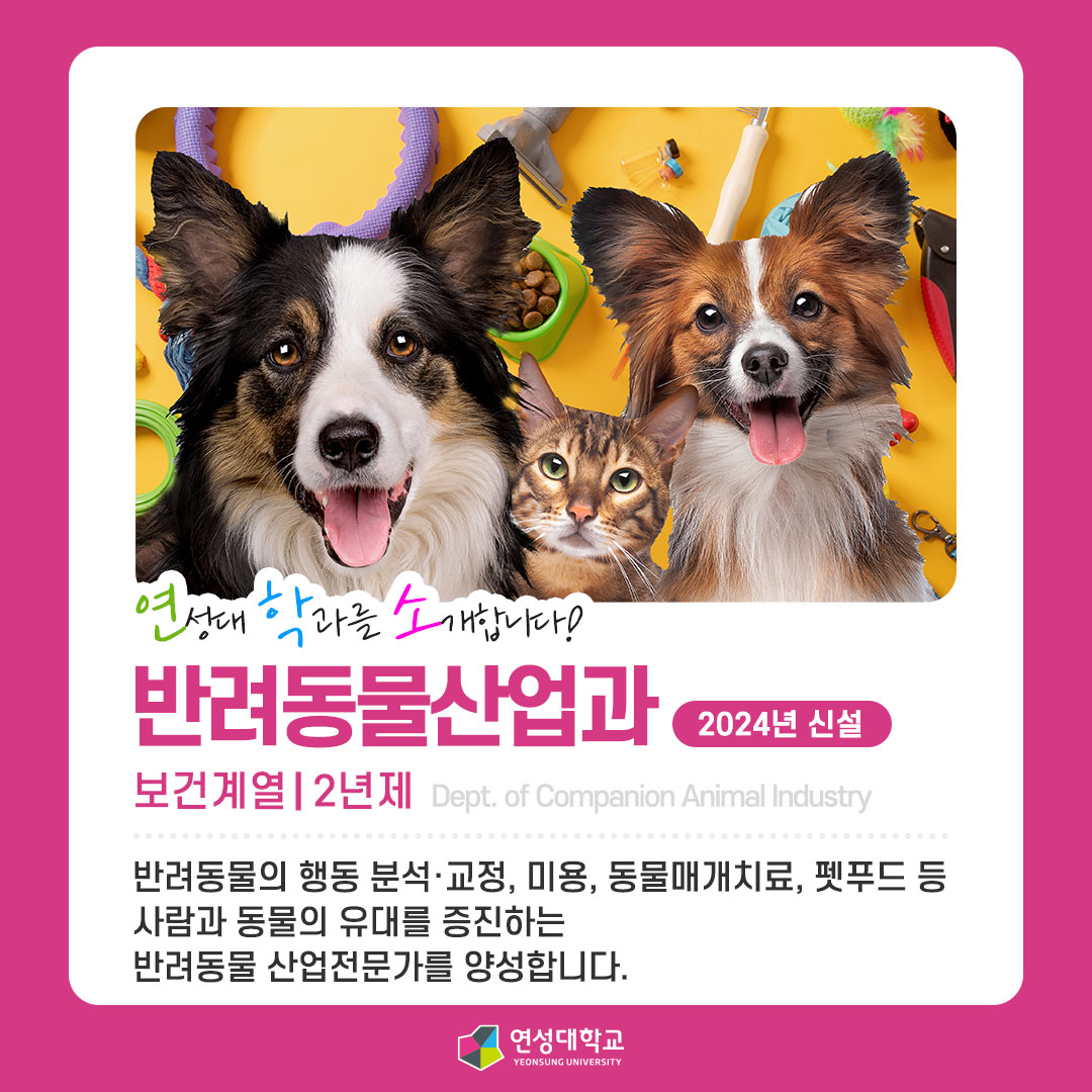 반려동물산업과
