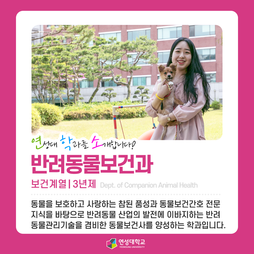 반려동물보건과